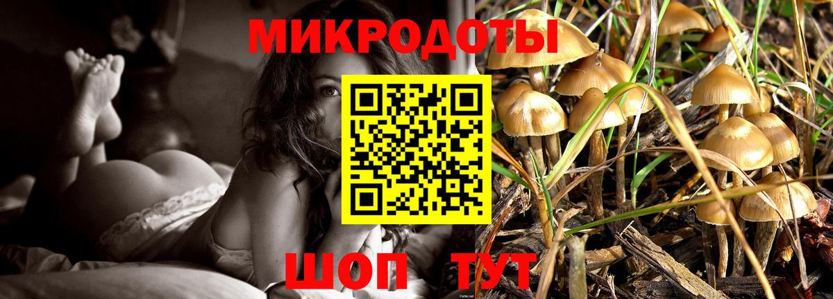 Псилоцибиновые грибы GOLDEN TEACHER  Вход с VPN  наркота  Тихвин 